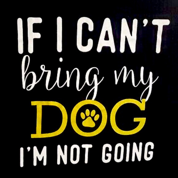 🐾 👱🏻‍♀️🐾 • 💭 If my DOG can’t go…. - Picture 1 of 6